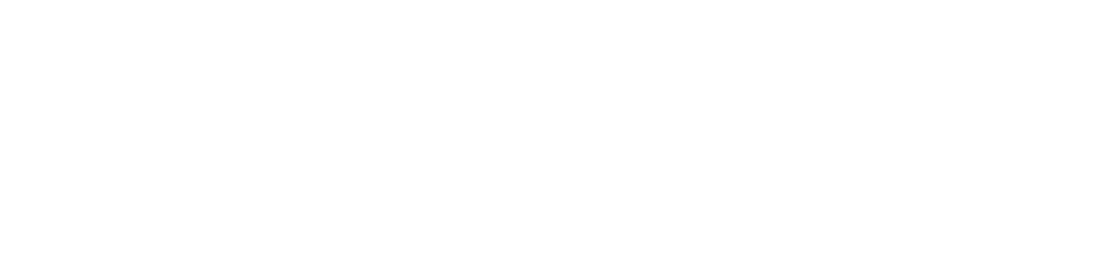 PVS Automotive®